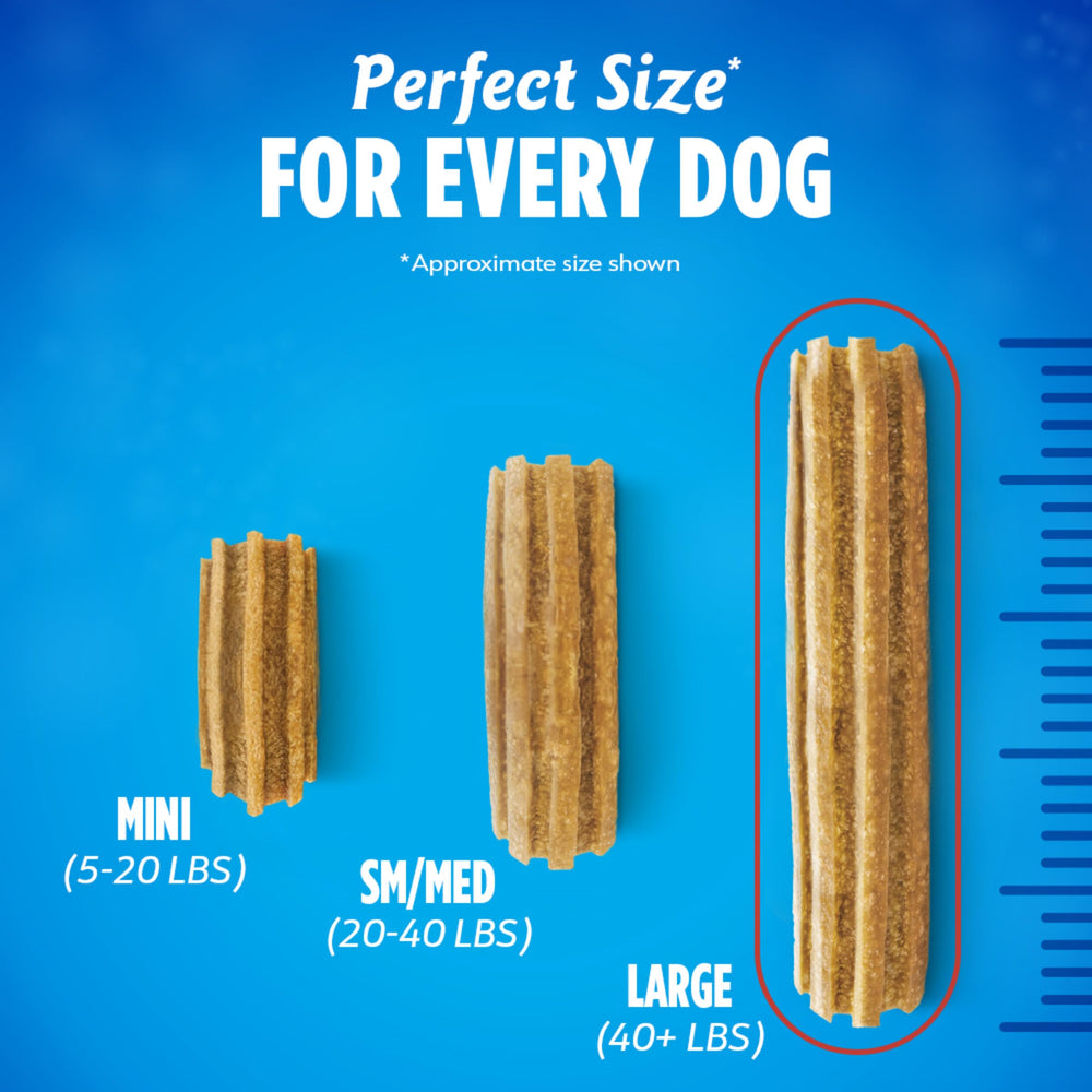 DentaLife estructura porosa con bolsillos de aire.