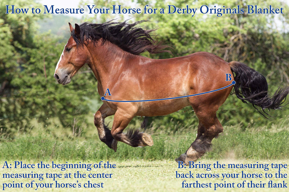 Ajuste crecimiento Derby Originals, cobertor para potros en desarrollo.