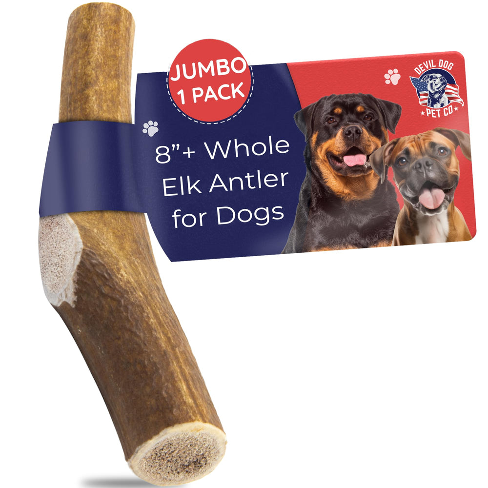 Devil Dog Cuerno de alce Jumbo entero para perros grandes, masticación prolongada.