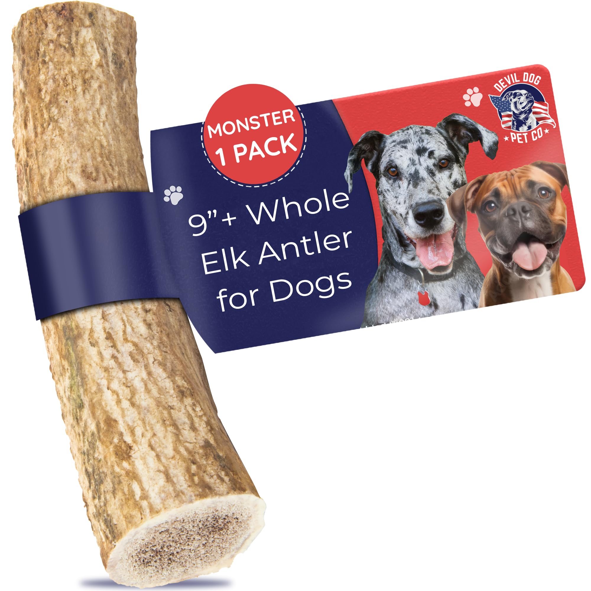 Asta de alce Monstruo de Devil Dog Pet Co, muestra masticación duradera para razas XL.