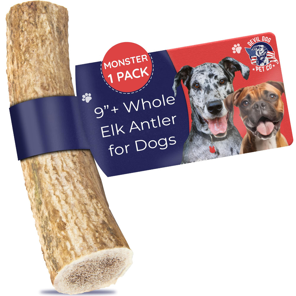 Asta de alce Monstruo de Devil Dog Pet Co, muestra masticación duradera para razas XL.