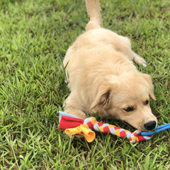 Dewonch Teaser de fleece resistente, ideal para perros de todas las tallas.