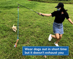 Dewonch Vara de entrenamiento para perros duradera favorece la obediencia.