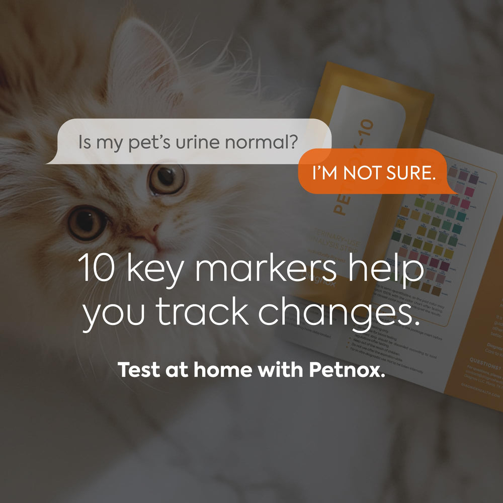 PETNOX de DIAGNOX HEALTH: kit de análisis urinario para mascotas, cómodo y rápido.