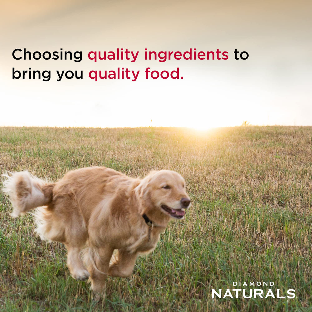 Diamond Naturals Light: probióticos caninos para digestión e inmunidad