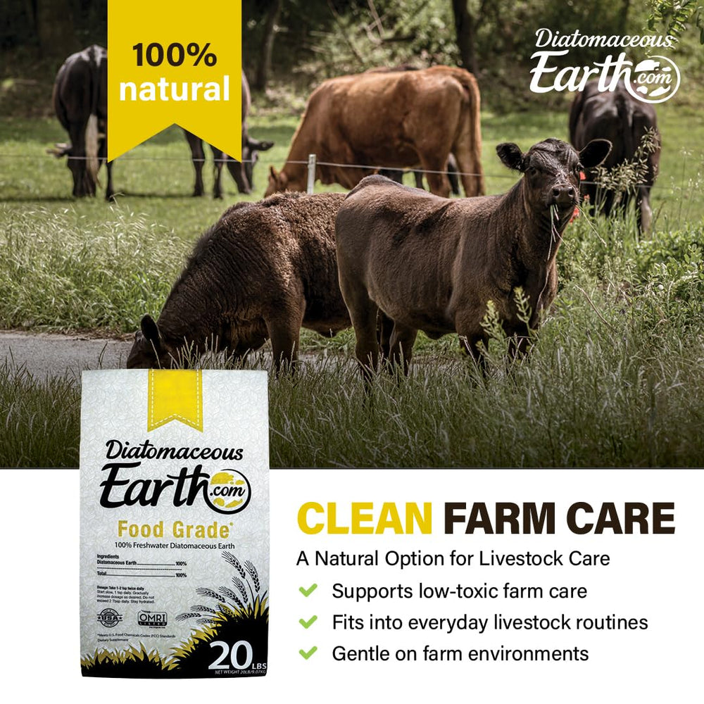Diatomaceous Earth: seguro para hogares y mascotas.