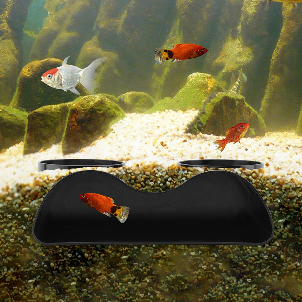DiQiRenQin Cueva de acuario con dos hue cos ofrece refugio y observación cercana.