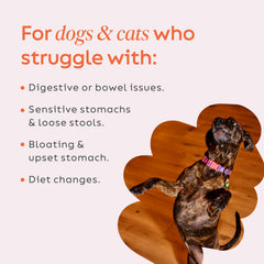 Diggin' Your Dog Firm Up calabaza: mejora la consistencia digestiva de mascotas.