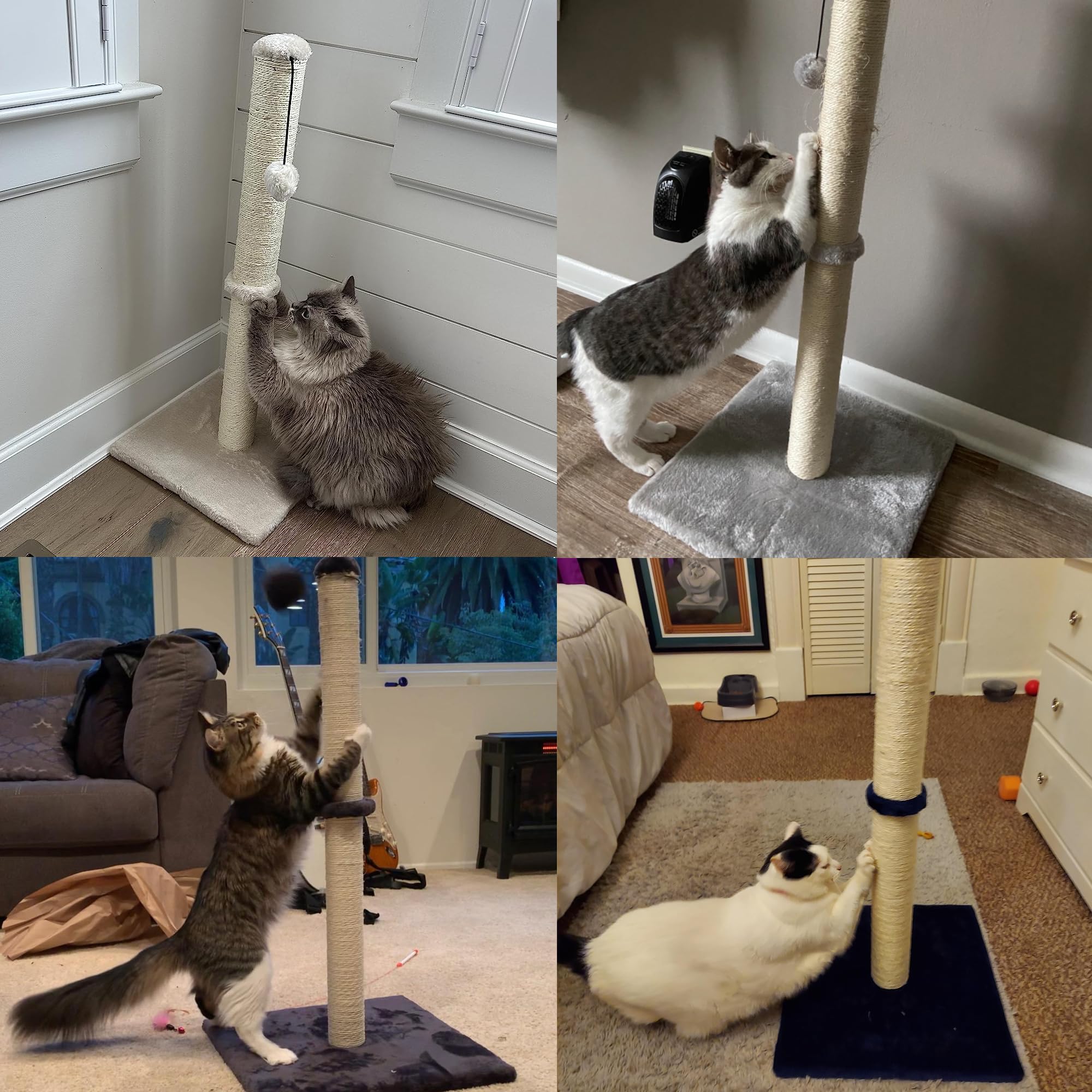 Dimaka gato estirándose en poste para ejercicio suave