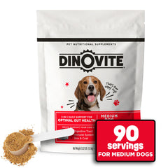 Dinovite 3 en 1 probiótico en bote: soporte digestivo.