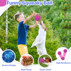 Bola acuática de DISSKNIC para entrenamiento y juego en agua