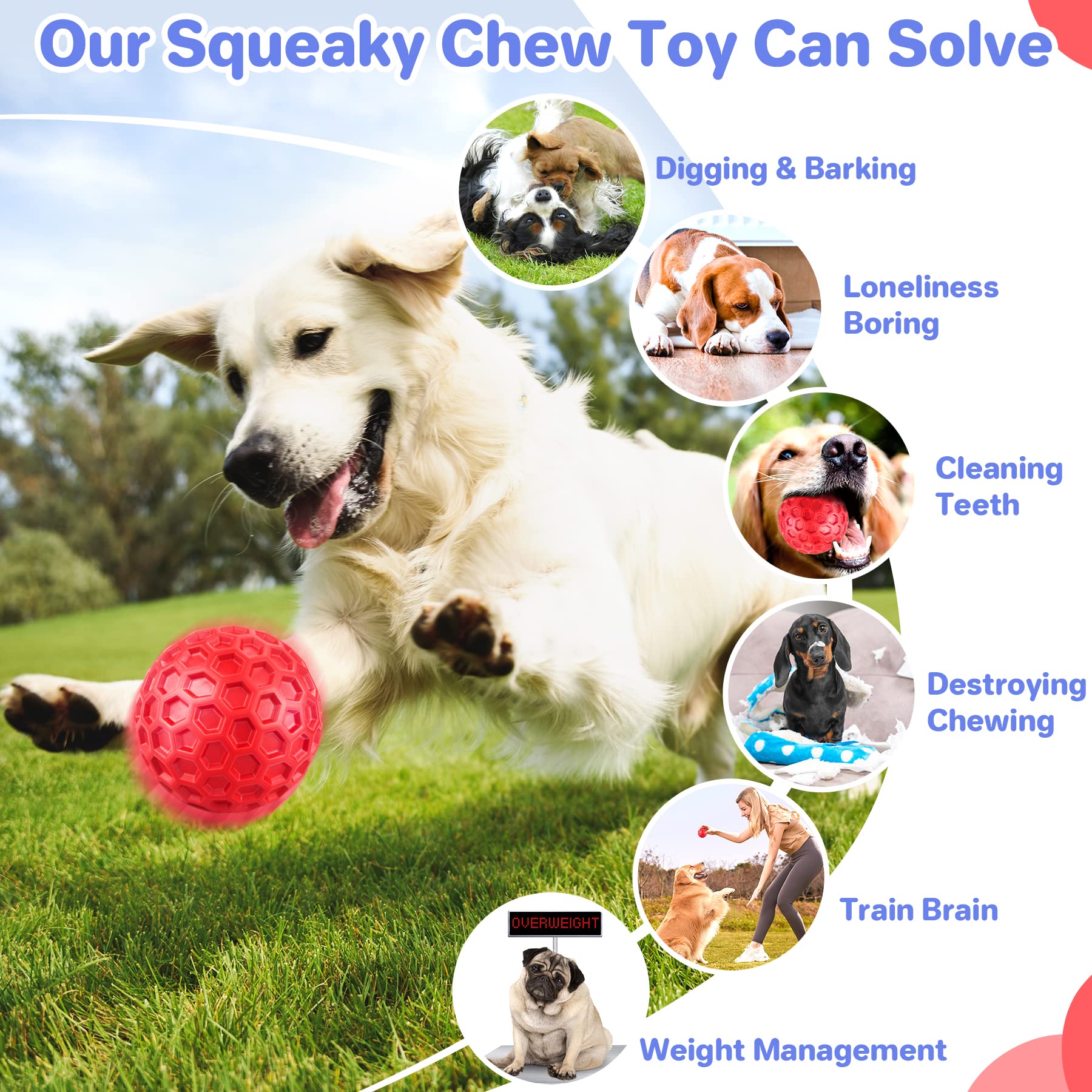 DISSKNIC Regalo ideal para perros, acompaña su desarrollo mental y físico.