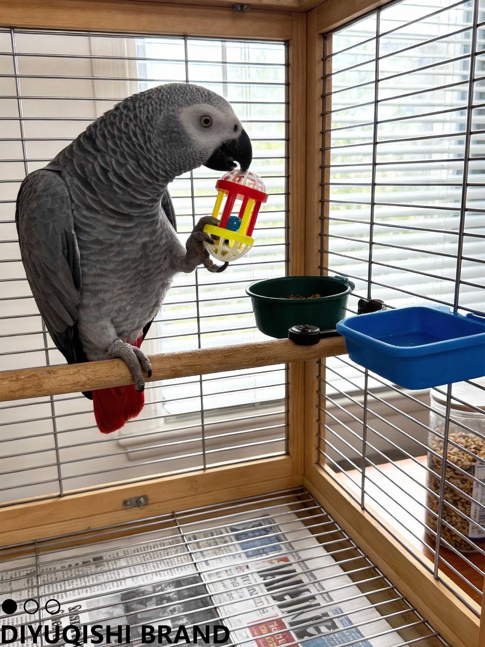 DIYUQISHI juguete de bola doble montaje para aves curiosas