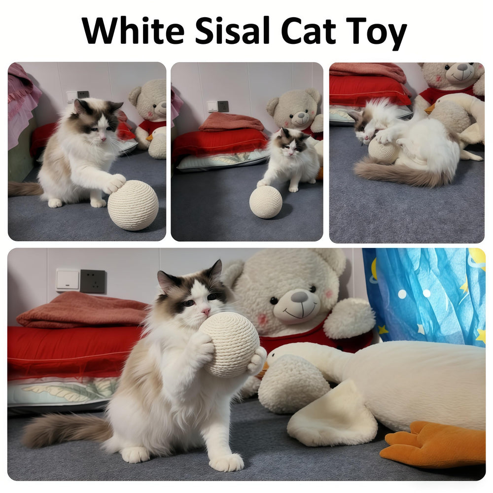 DMZBJ bolas-sisal-gato-uso-interactivo: perfecto para juegos entre tú y tu gato.