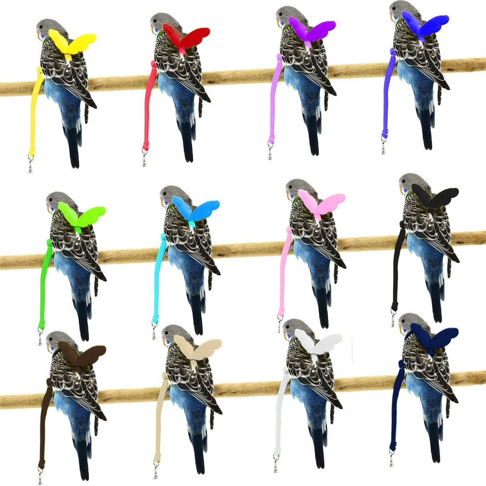 Talla M de Dnoifne, 2 metros, para paseos controlados de aves medianas.