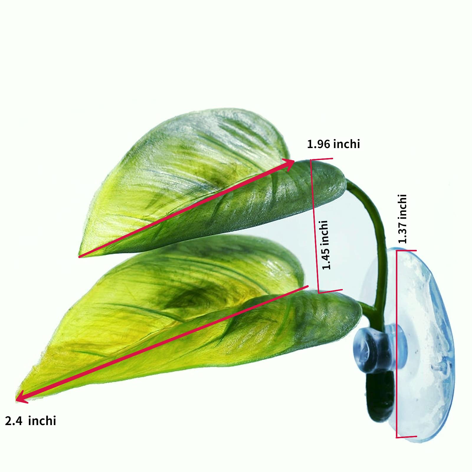 DODOAQUA ventosa fija la hoja Betta de forma estable.