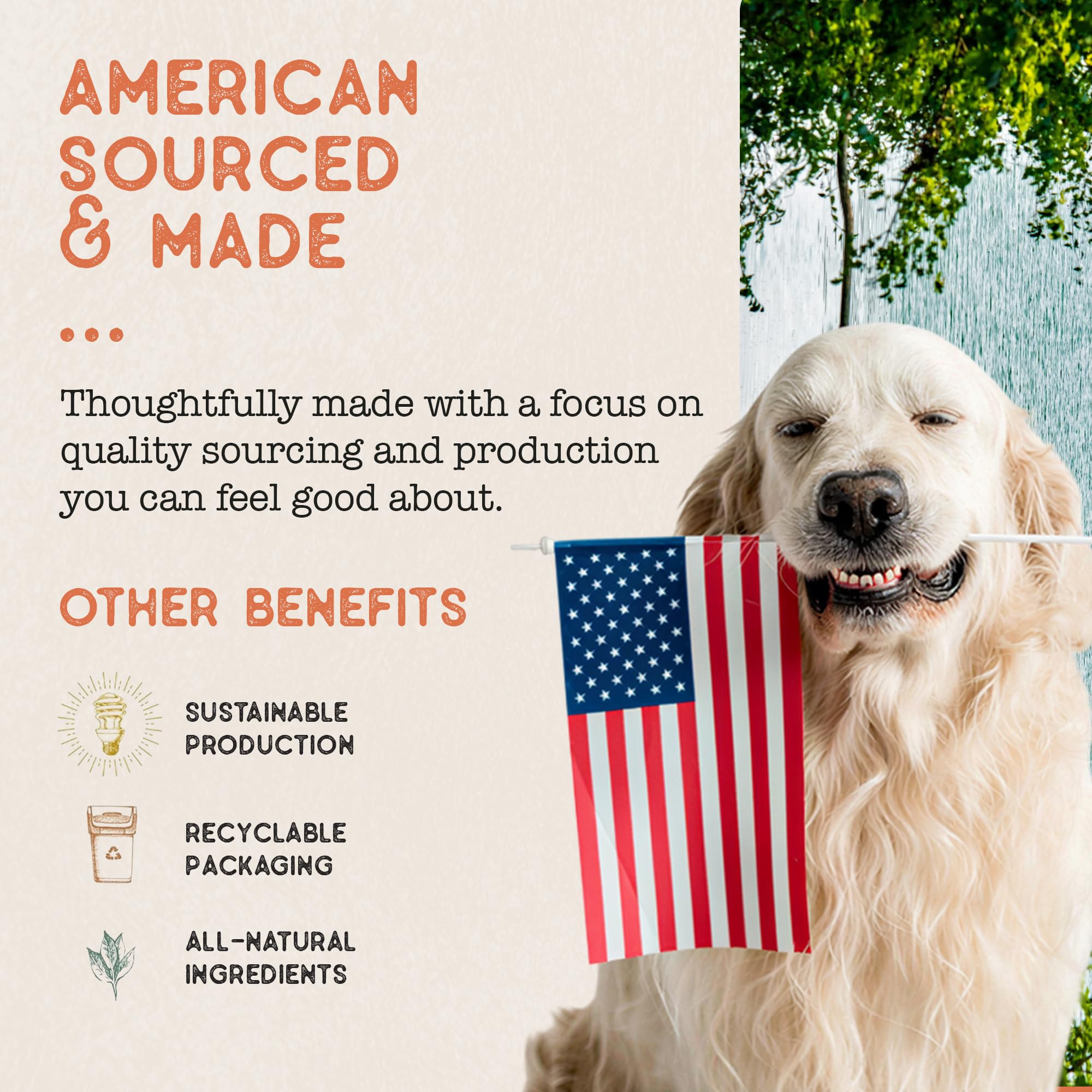 Dog Treat Naturals Superfood Sticks boeuf USDA, ingrédients soigneusement sélectionnés.