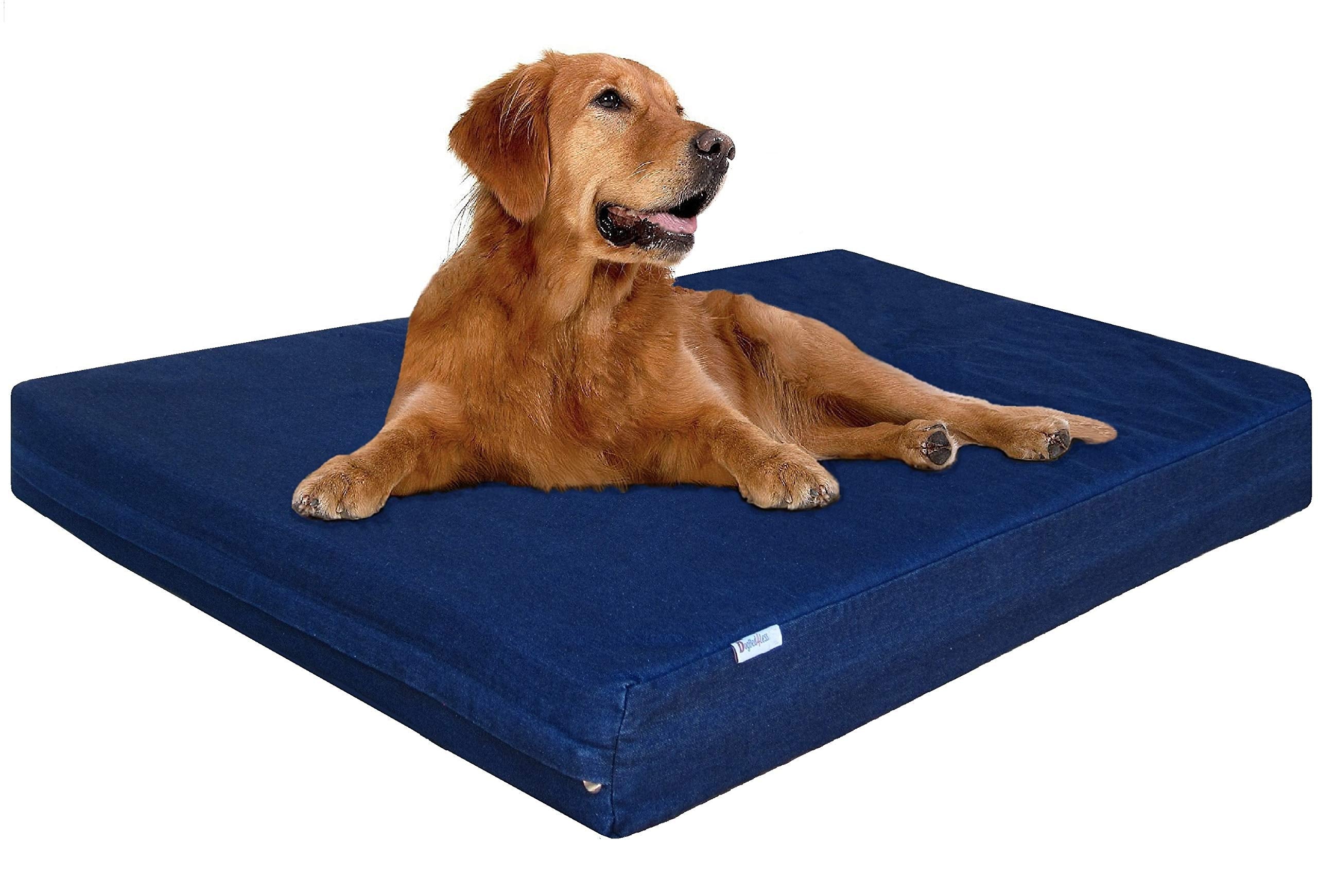 Dogbed4less cama ortopédica para perros grandes vista frontal azul con soporte cómodo