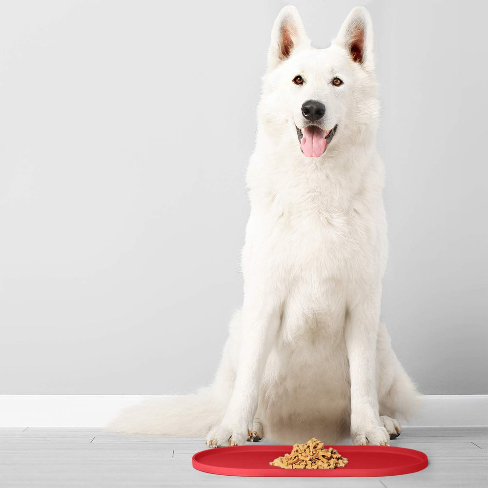 DogBuddy tamaño pequeño ideal para razas pequeñas
