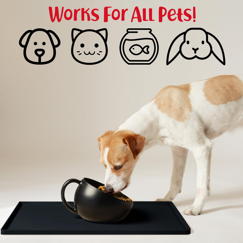 DogBuddy superficie lisa facilita la limpieza de comidas y agua.
