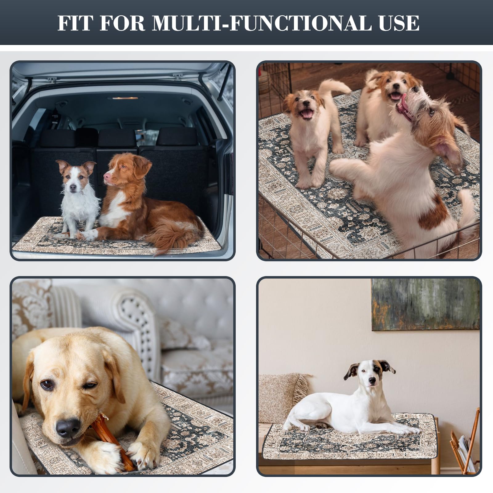 Dogcator lavado en máquina facilita limpieza y reutilización.