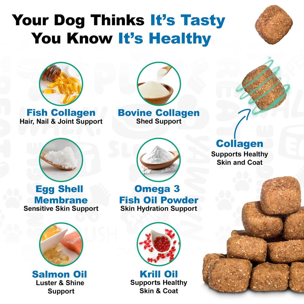 Doggie Dailies, nutrición para piel y pelo, perros activos.