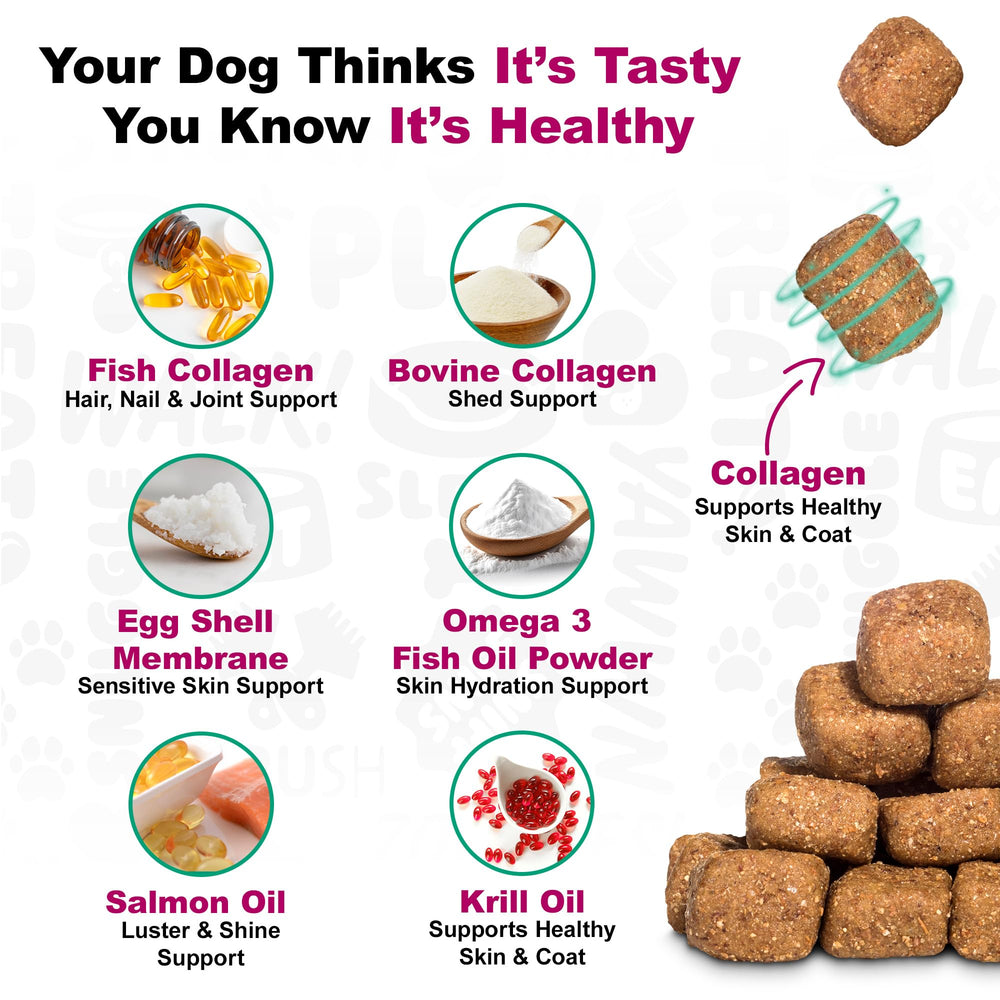 Doggie Dailies palatabilidad probada en pruebas independientes