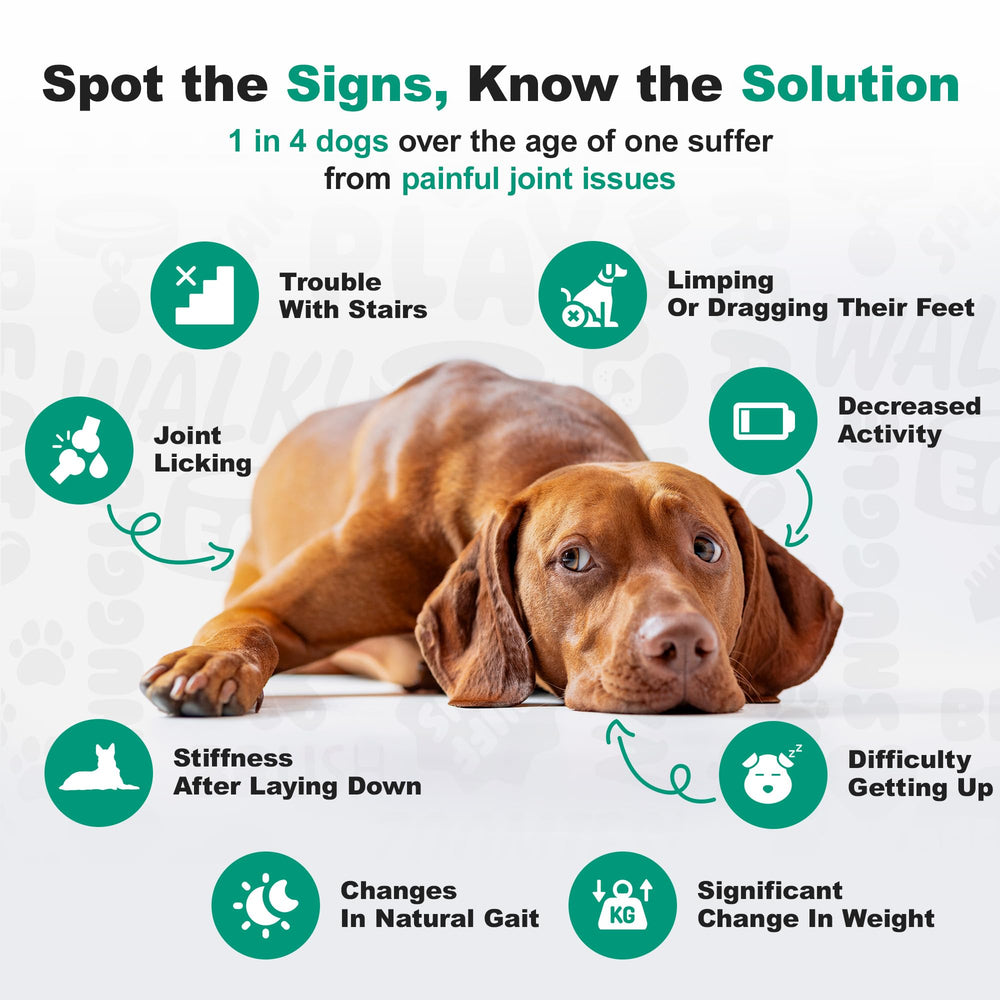 Doggie Dailies para perros activos, apoyo a la movilidad