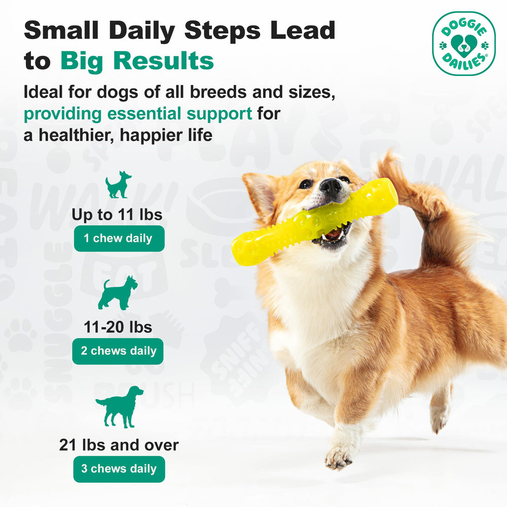 Doggie Dailies probiótico con enzimas digestivas para apoyo digestivo