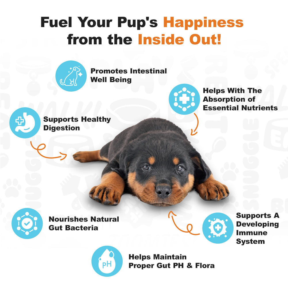 Doggie Dailies prueba de palatabilidad independiente con sabor agradable