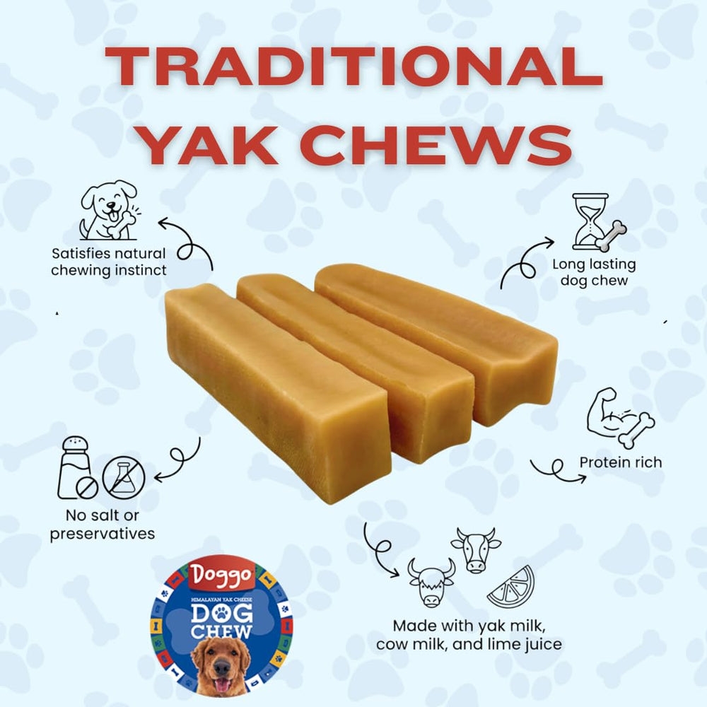 Doggo Dog Chew: masticables duraderos para perros agresivos sin olor molesto