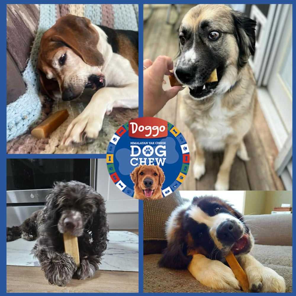 Doggo Dog Chew tamaño grande para razas grandes y masticadores fuertes
