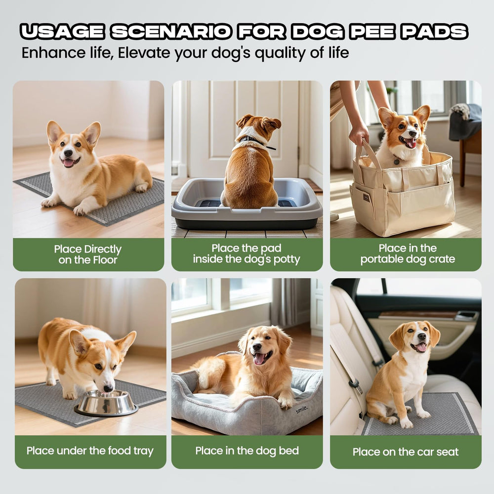 DOGGO DOUG ideal para entrenamiento de mascotas en interiores.