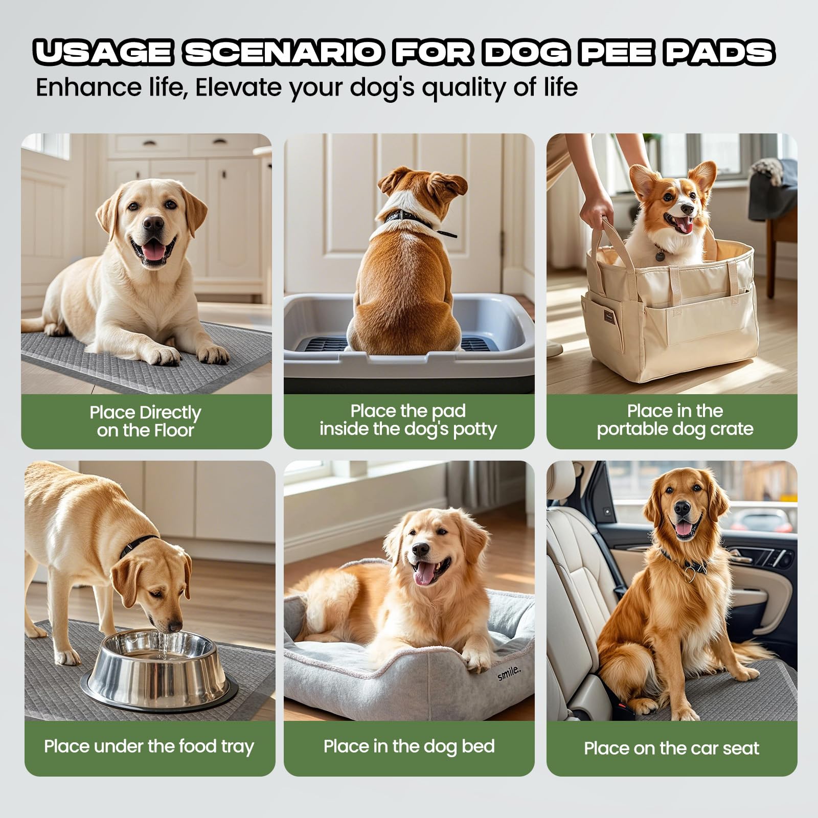 DOGGO DOUG usos múltiples en casa, coche y cama.