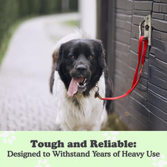 Doghook Canine Hitch: acero inoxidable que resiste el paso del tiempo.