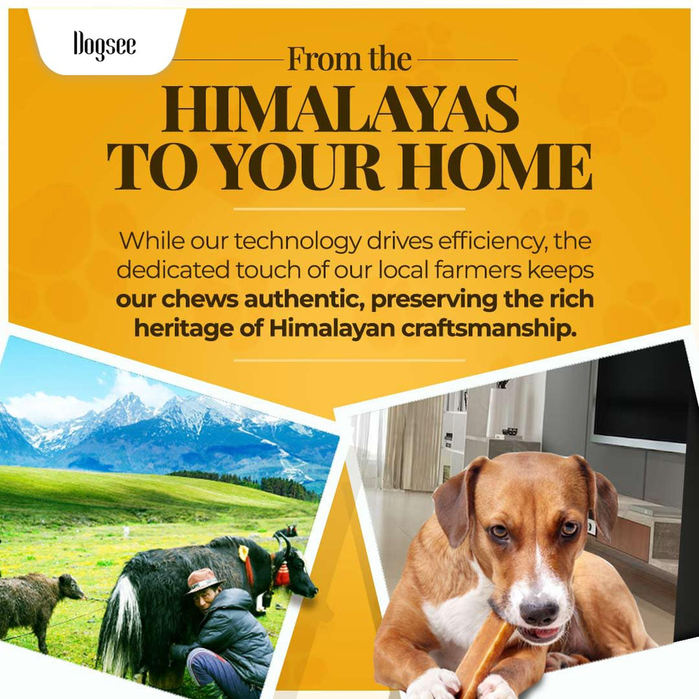 Dogsee Original Yak Chews: libres de granos para perros con sensibilidades