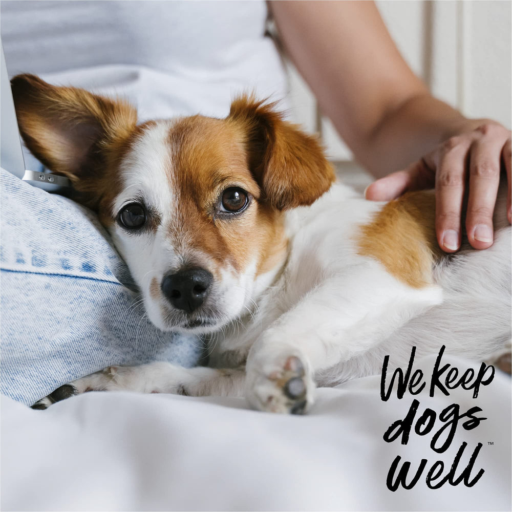 Dogswell Remedy Recovery bottle shown beside a calm dog