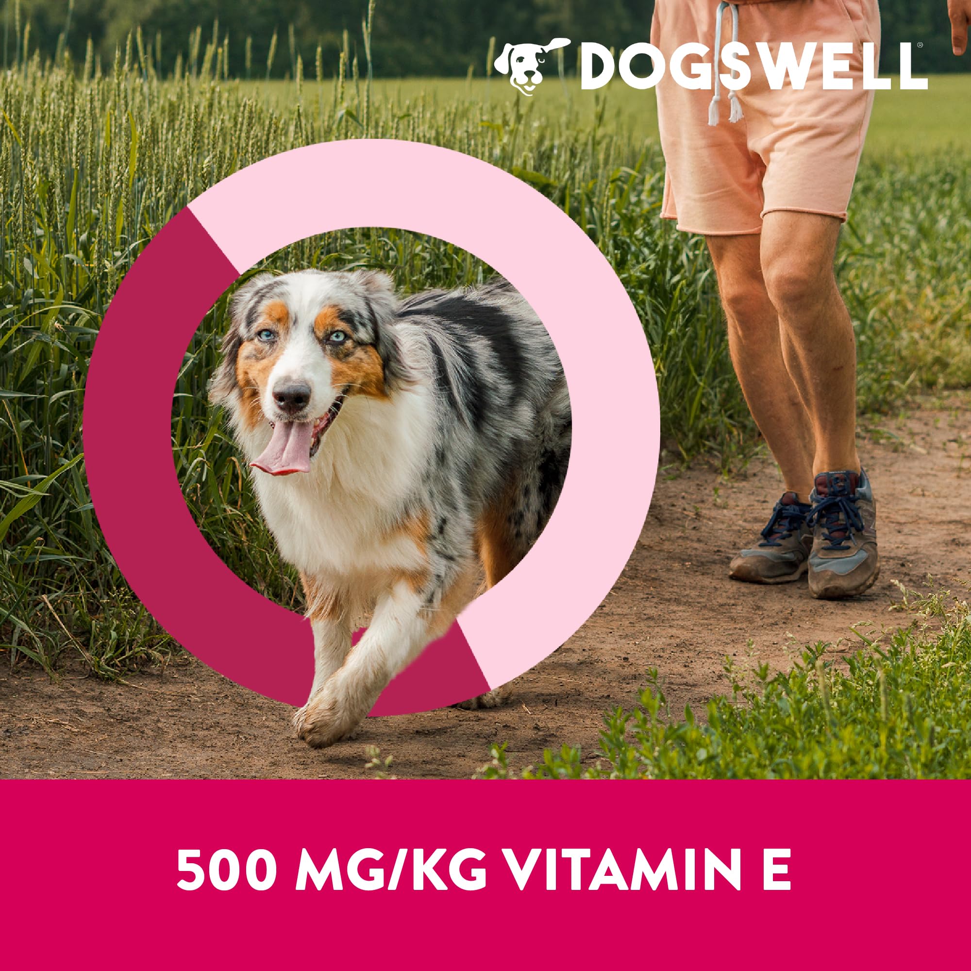 DOGSWELL sin azúcar añadida, opción saludable para premios
