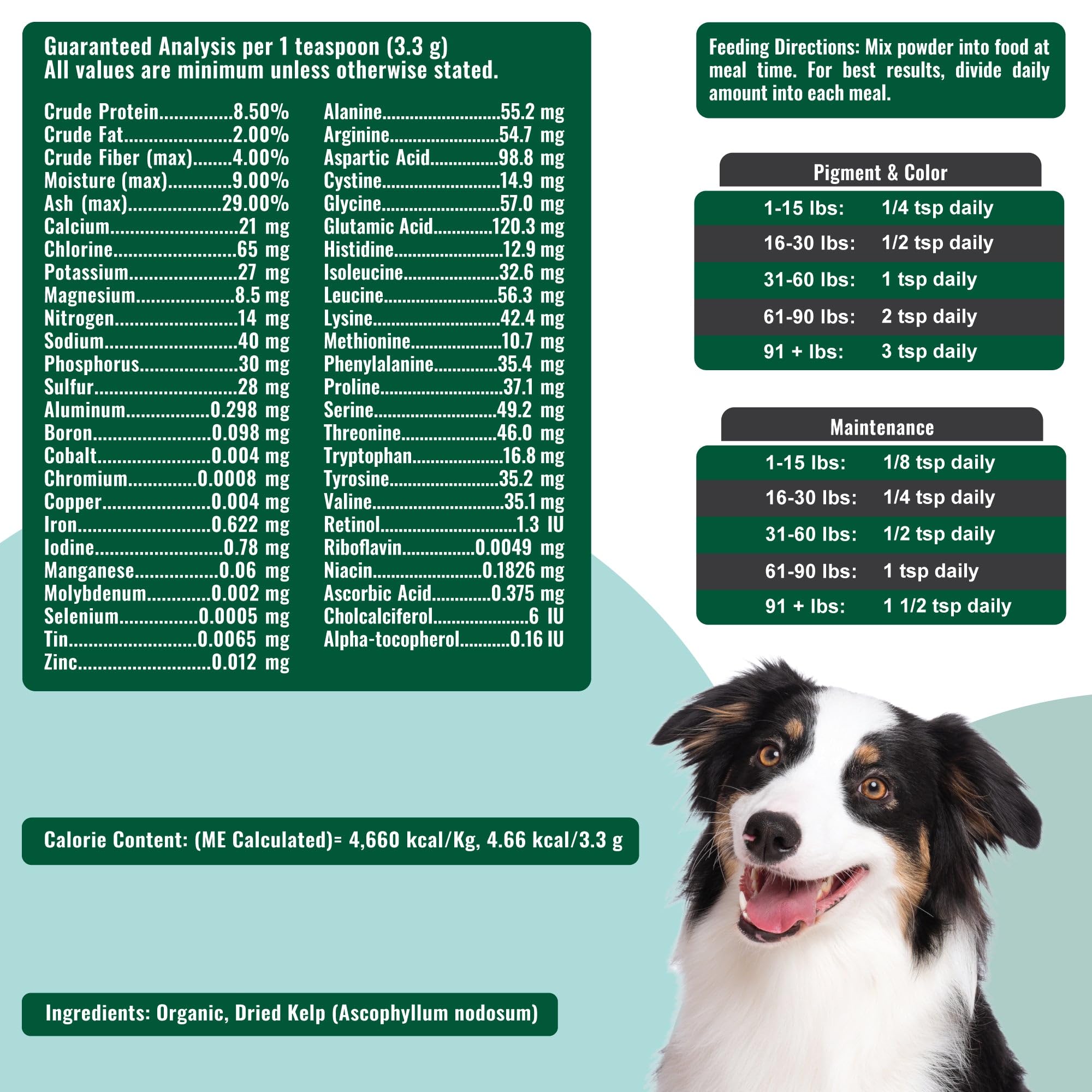 Dogzymes Alga Noruega Orgánica, taza-medida: dosificación fácil para uso diario.