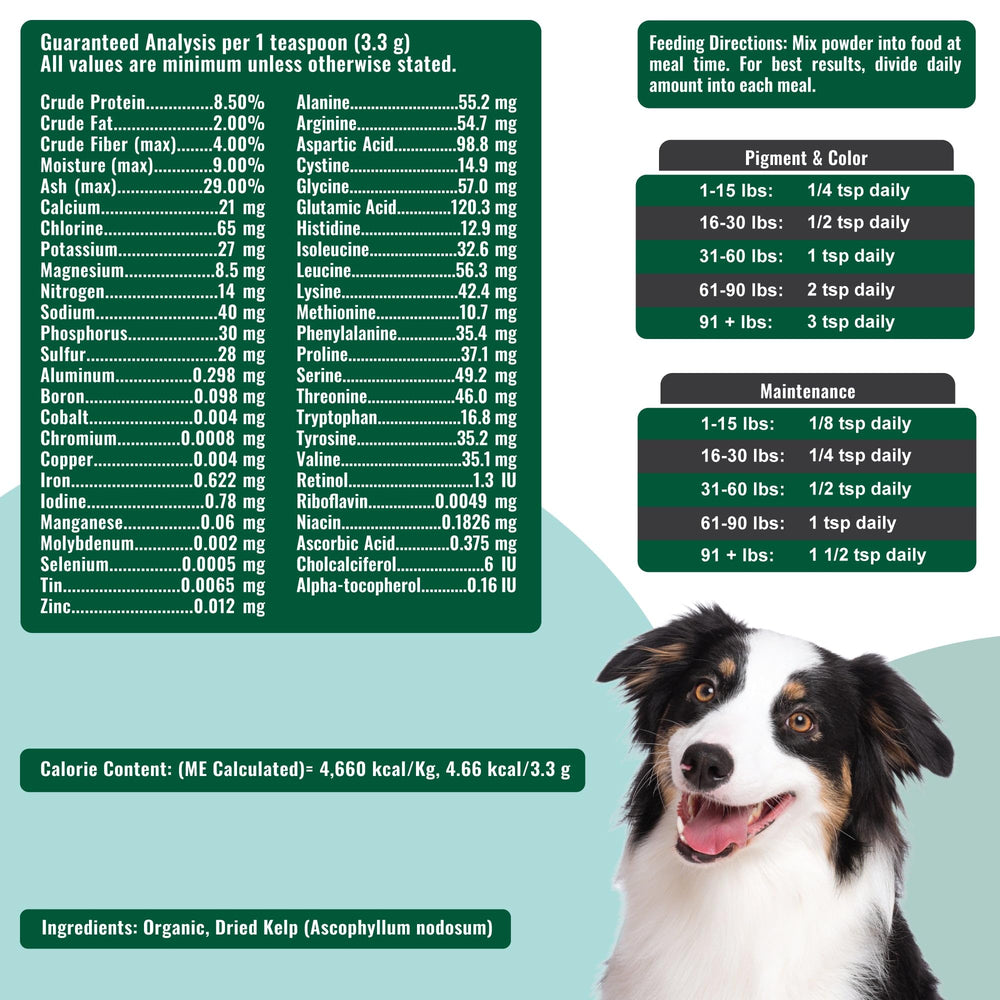 Dogzymes Alga Noruega Orgánica, taza-medida: dosificación fácil para uso diario.