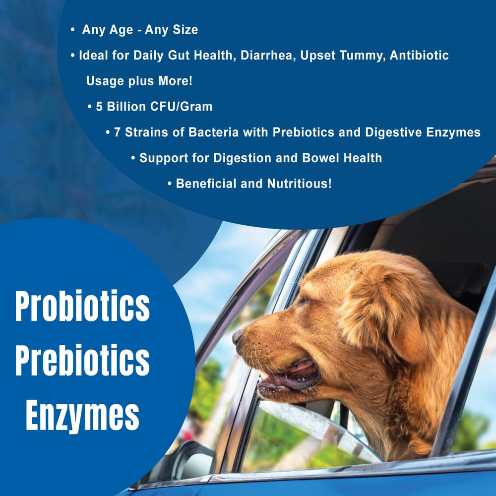 Dogzymes cinco bacterias digestivas para la salud general