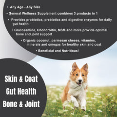Dogzymes Completo etiqueta frontal, información clara de beneficios.