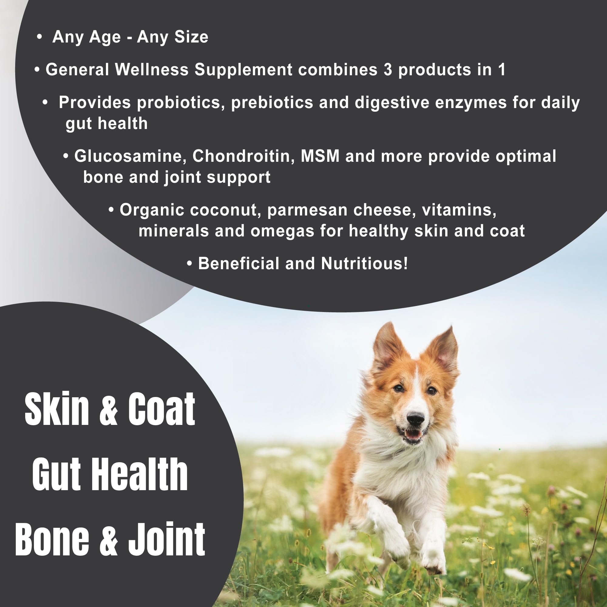 Dogzymes Complete: etiqueta del producto con ingredientes clave y caducidad.