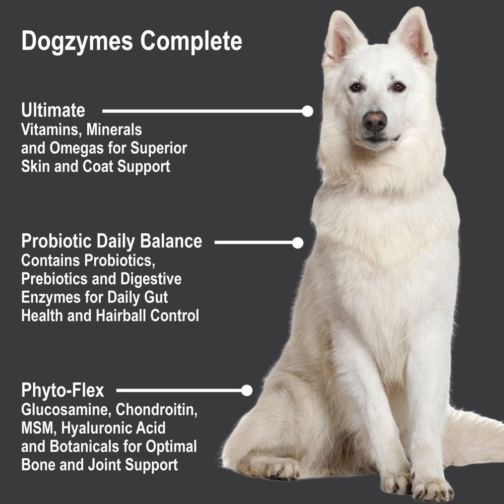 Dogzymes Complete: cuidado de la piel y el pelaje para perros.