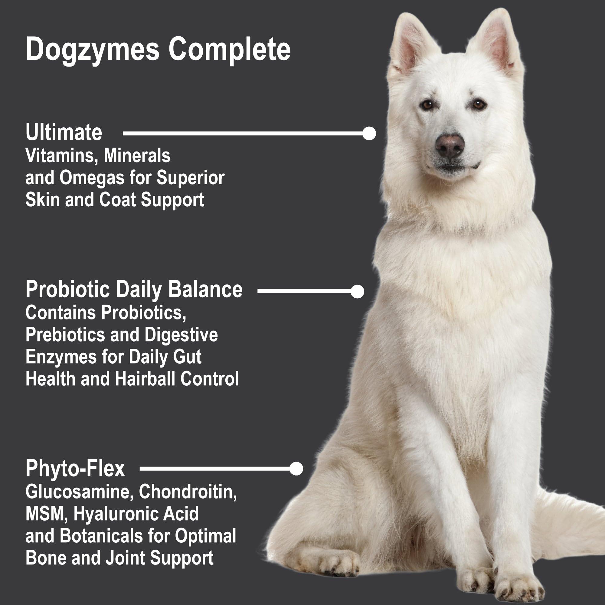 Dogzymes Completo piel saludable, confort y bienestar.
