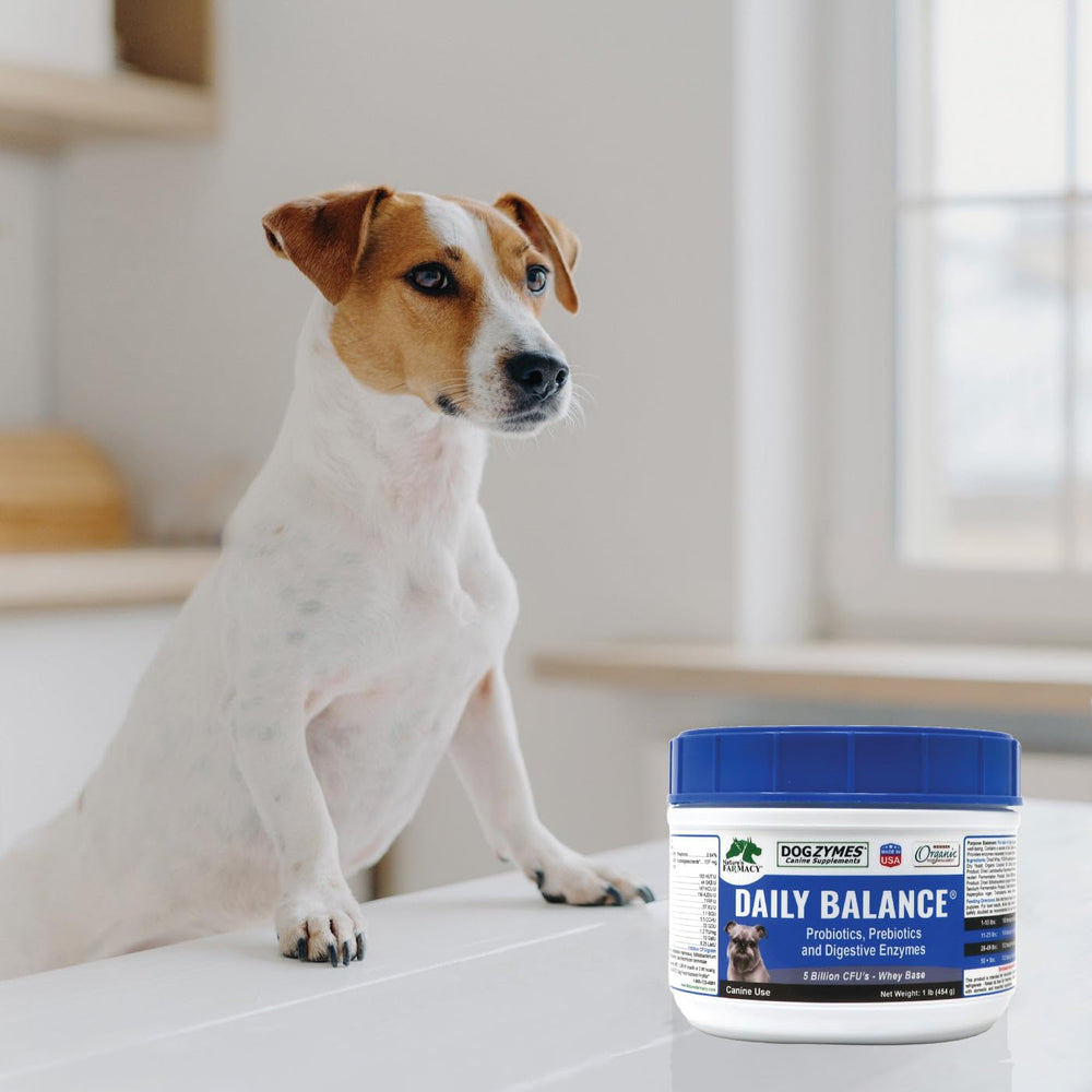 Dogzymes Daily Balance — dosis para cachorros, apoyo digestivo suave en etapas tempranas.