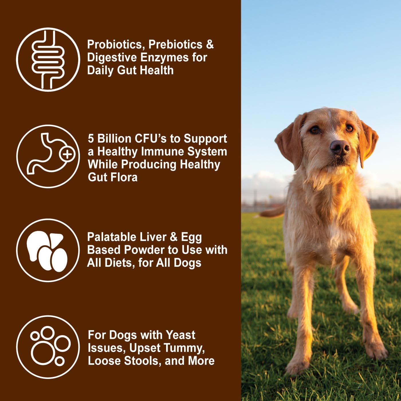 Dogzymes Probiotic Daily Balance uso diario con la comida del perro.