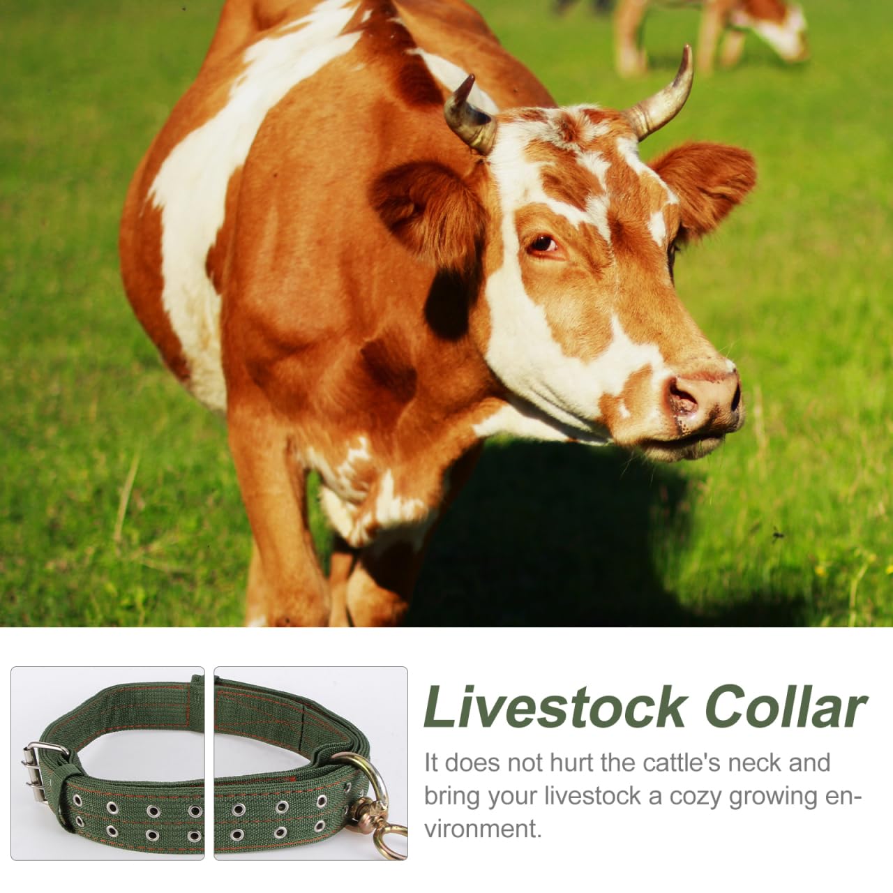 DOITOOL collar para caballo de lona, resistencia y comodidad en uso diario.