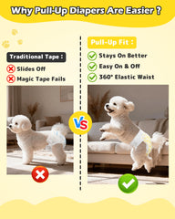 Ceinture élastique Dono pour chien femelle, ajustement sûr et confortable lors des balades.