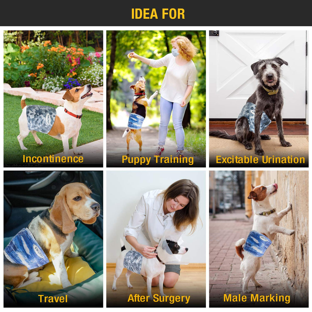 Dono pañales para uso diario en perros, discreto y práctico para la casa.